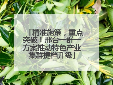 精准施策，重点突破！邢台一群一方案推动特色产业集群提档升级