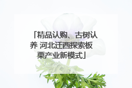 精品认购、古树认养 河北迁西探索板栗产业新模式