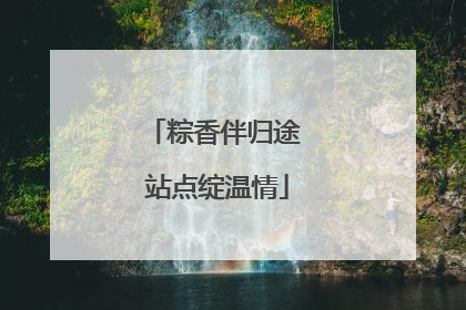粽香伴归途 站点绽温情