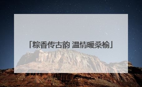 粽香传古韵 温情暖桑榆