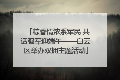 粽香情浓系军民 共话强军迎端午——白云区举办双拥主题活动
