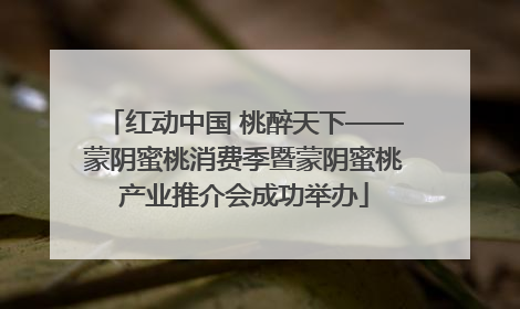红动中国 桃醉天下——蒙阴蜜桃消费季暨蒙阴蜜桃产业推介会成功举办