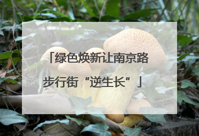 绿色焕新让南京路步行街“逆生长”