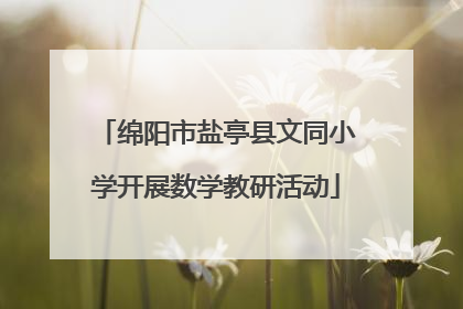 绵阳市盐亭县文同小学开展数学教研活动
