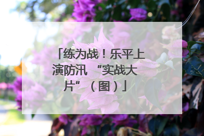 练为战！乐平上演防汛 “实战大片”（图）