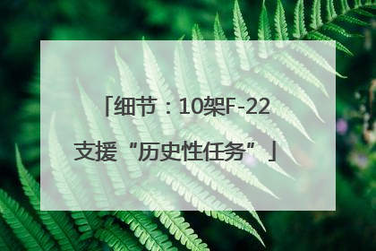 细节：10架F-22支援“历史性任务”