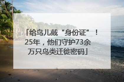 给鸟儿戴“身份证”！25年，他们守护73余万只鸟类迁徙密码