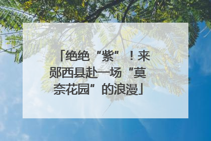 绝绝“紫”！来郧西县赴一场“莫奈花园”的浪漫