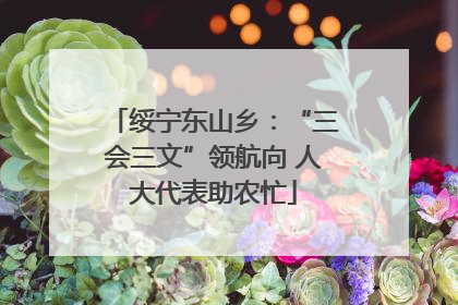 绥宁东山乡：“三会三文”领航向 人大代表助农忙