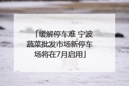 缓解停车难 宁波蔬菜批发市场新停车场将在7月启用