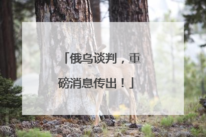俄乌谈判，重磅消息传出！