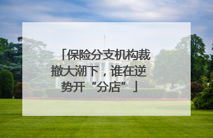 保险分支机构裁撤大潮下，谁在逆势开“分店”