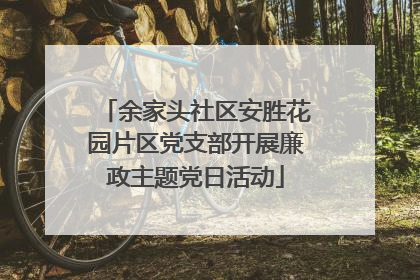 余家头社区安胜花园片区党支部开展廉政主题党日活动
