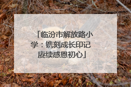 临汾市解放路小学：镌刻成长印记 赓续感恩初心