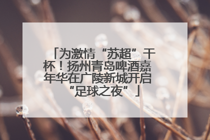 为激情“苏超”干杯！扬州青岛啤酒嘉年华在广陵新城开启“足球之夜”