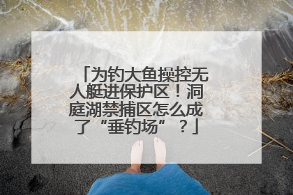 为钓大鱼操控无人艇进保护区！洞庭湖禁捕区怎么成了“垂钓场”？