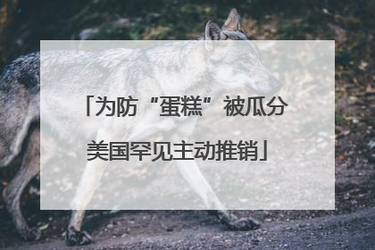 为防“蛋糕”被瓜分 美国罕见主动推销
