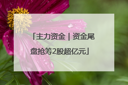 主力资金｜资金尾盘抢筹2股超亿元