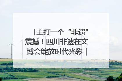 主打一个“非遗”震撼！四川非遗在文博会绽放时代光彩｜文博向“新”