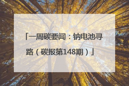 一周碳要闻：钠电池寻路（碳报第148期）