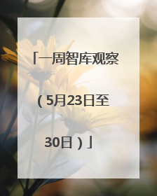 一周智库观察（5月23日至30日）