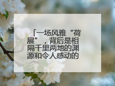 一场风雅“荷展”，背后是相隔千里两地的渊源和令人感动的历史人文情怀