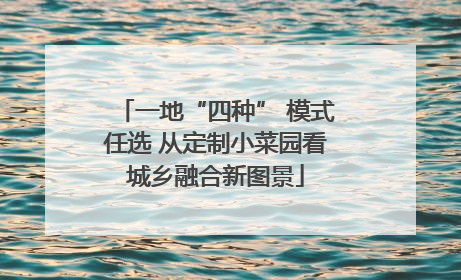 一地“四种” 模式任选 从定制小菜园看城乡融合新图景