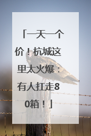 一天一个价！杭城这里太火爆：有人扛走80箱！
