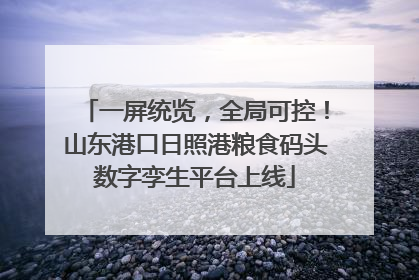 一屏统览，全局可控！山东港口日照港粮食码头数字孪生平台上线