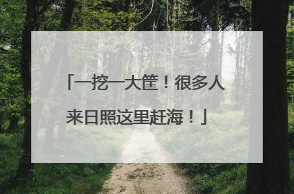 一挖一大筐！很多人来日照这里赶海！