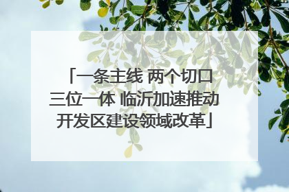 一条主线 两个切口 三位一体 临沂加速推动开发区建设领域改革