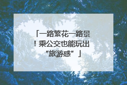 一路繁花一路景！乘公交也能玩出“旅游感”