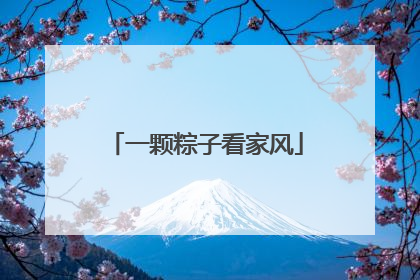 一颗粽子看家风