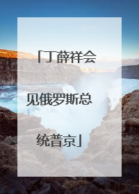 丁薛祥会见俄罗斯总统普京