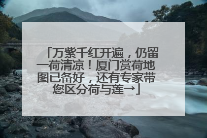 万紫千红开遍，仍留一荷清凉！厦门赏荷地图已备好，还有专家带您区分荷与莲→