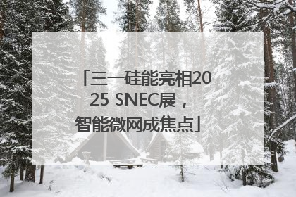 三一硅能亮相2025 SNEC展，智能微网成焦点