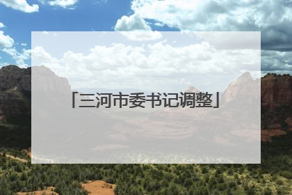 三河市委书记调整