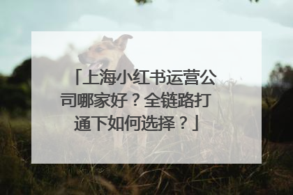 上海小红书运营公司哪家好？全链路打通下如何选择？
