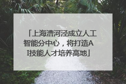 上海漕河泾成立人工智能分中心，将打造AI技能人才培养高地