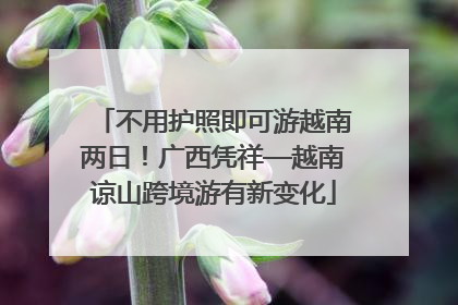 不用护照即可游越南两日！广西凭祥—越南谅山跨境游有新变化