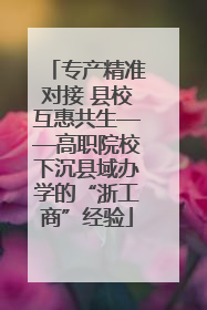 专产精准对接 县校互惠共生——高职院校下沉县域办学的“浙工商”经验