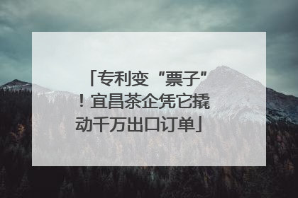 专利变“票子”！宜昌茶企凭它撬动千万出口订单