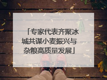 专家代表齐聚冰城共谋小麦振兴与杂粮高质量发展