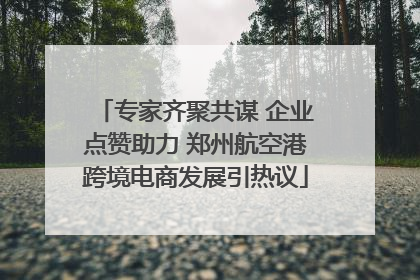 专家齐聚共谋 企业点赞助力 郑州航空港跨境电商发展引热议