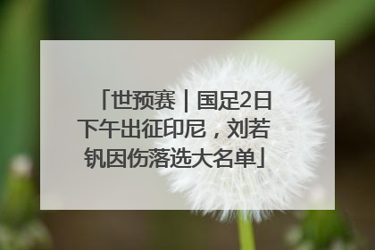 世预赛｜国足2日下午出征印尼，刘若钒因伤落选大名单