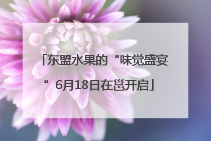 东盟水果的“味觉盛宴”6月18日在邕开启