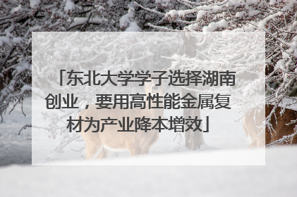 东北大学学子选择湖南创业，要用高性能金属复材为产业降本增效