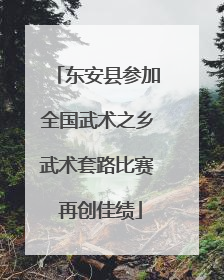 东安县参加全国武术之乡武术套路比赛 再创佳绩