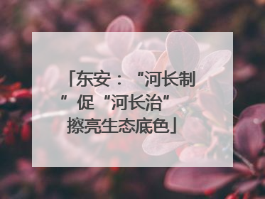 东安：“河长制”促“河长治” 擦亮生态底色