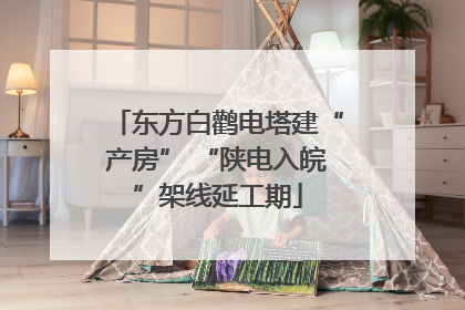 东方白鹳电塔建“产房” “陕电入皖”架线延工期
